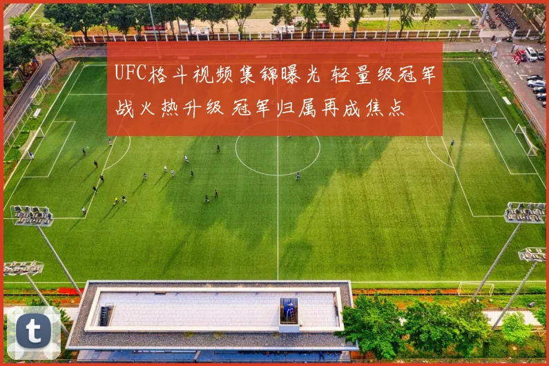 UFC格斗视频集锦曝光 轻量级冠军战火热升级 冠军归属再成焦点