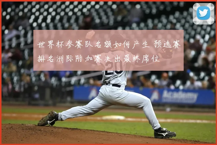 世界杯参赛队名额如何产生 预选赛排名洲际附加赛决出最终席位