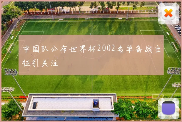 中国队公布世界杯2002名单备战出征引关注
