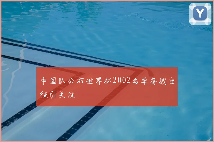 中国队公布世界杯2002名单备战出征引关注