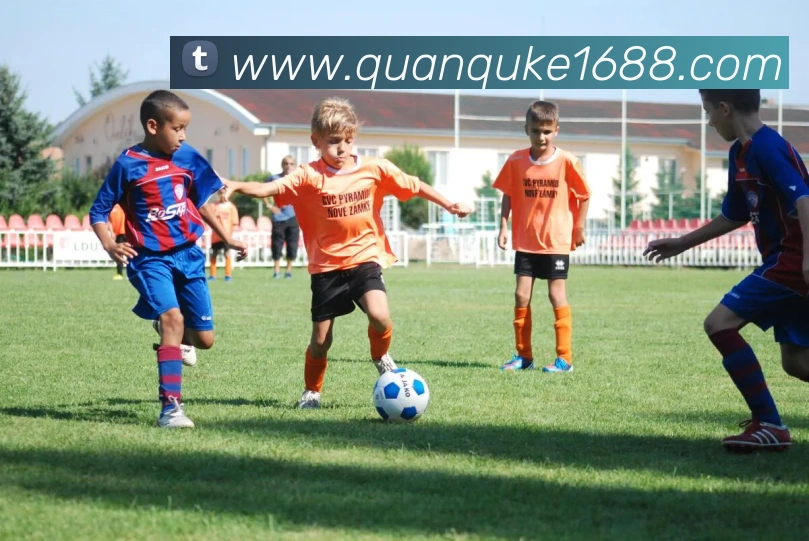 巅峰国际app官方正版平台生态图