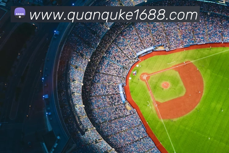 奖项图2