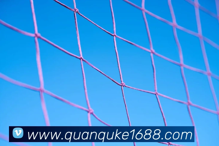 数据防护可视化